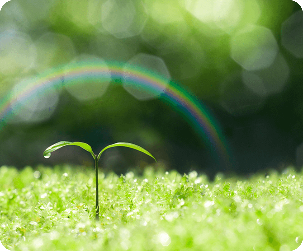 真の社会貢献を目指す